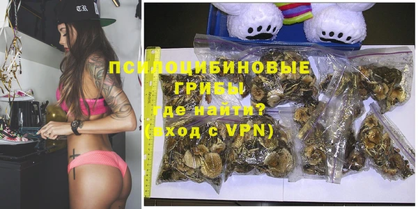 ешки Зерноград