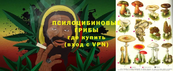 ешки Зерноград