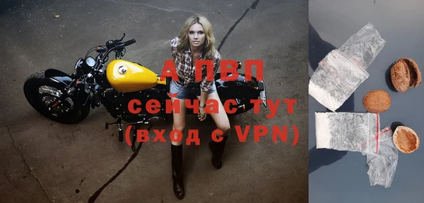дживик Зеленокумск