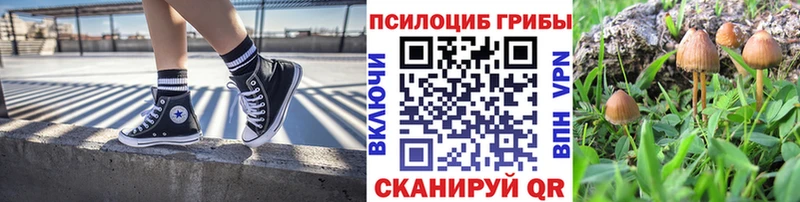 Псилоцибиновые грибы MAGIC MUSHROOMS  Купить  Дюртюли 